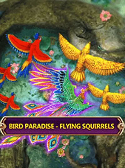 পাখির স্বর্গ